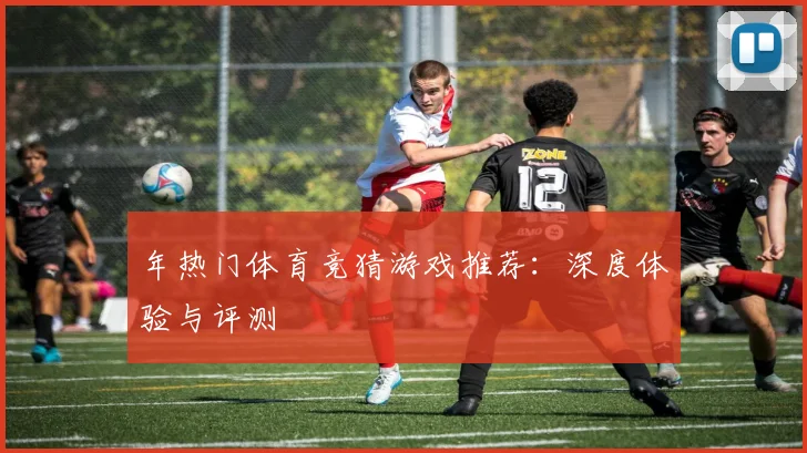年热门体育竞猜游戏推荐:深度体验与评测