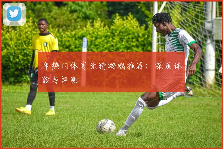 年热门体育竞猜游戏推荐：深度体验与评测