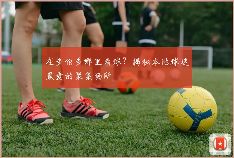在多伦多哪里看球？揭秘本地球迷最爱的聚集场所