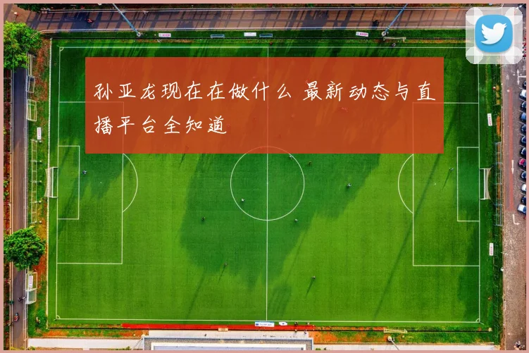 孙亚龙现在在做什么 最新动态与直播平台全知道